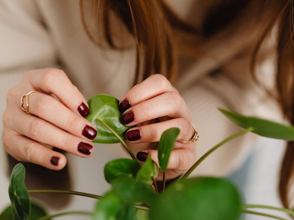 Ideias de Unhas Chiques e Elegantes: Natal 2025!