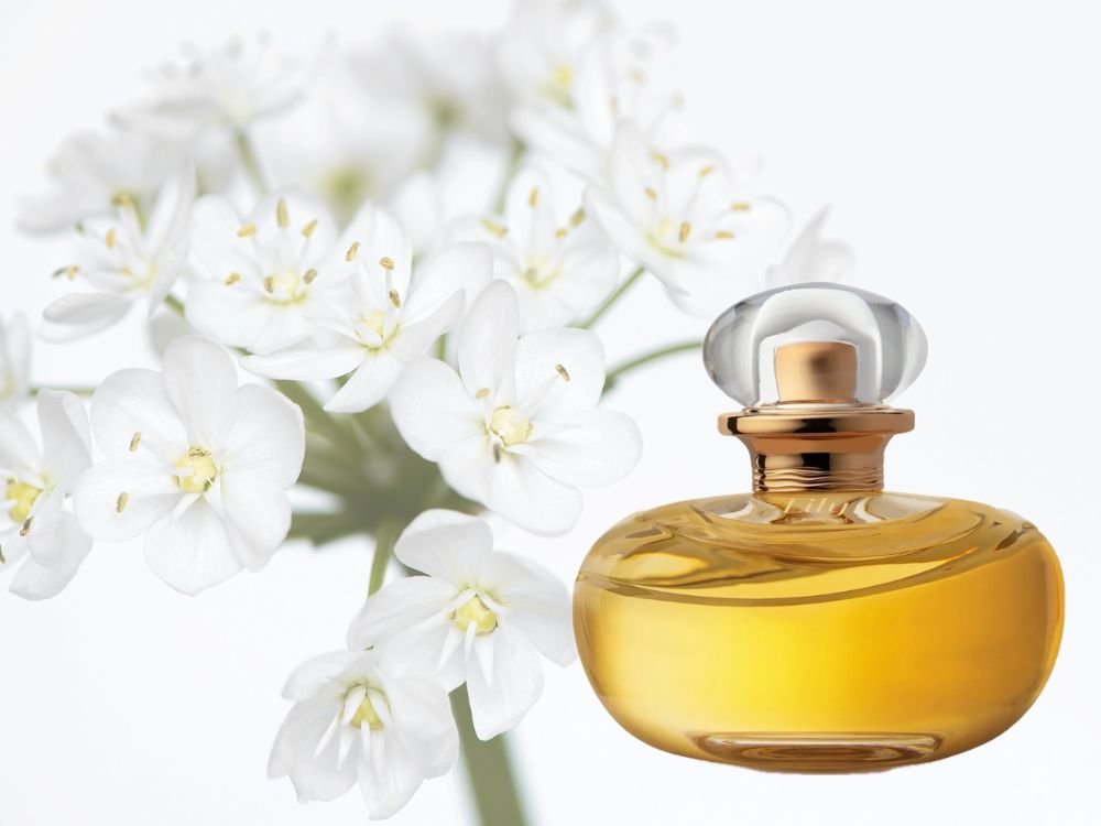 Qual Lily é mais Cheiroso? Perfume o Boticário Lily!
