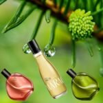 Top-5-Perfumes-Ekos-Natura-Feminino-Que-Voce-Vai-Amar